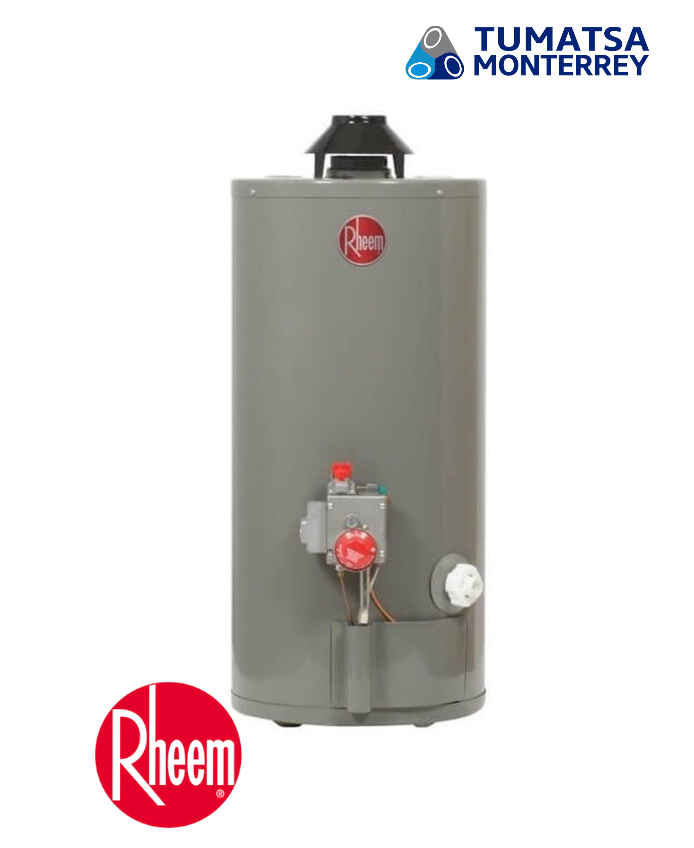 CALENTADOR DE DEPOSITO RHEEM 114L GAS LP 29V30/393469