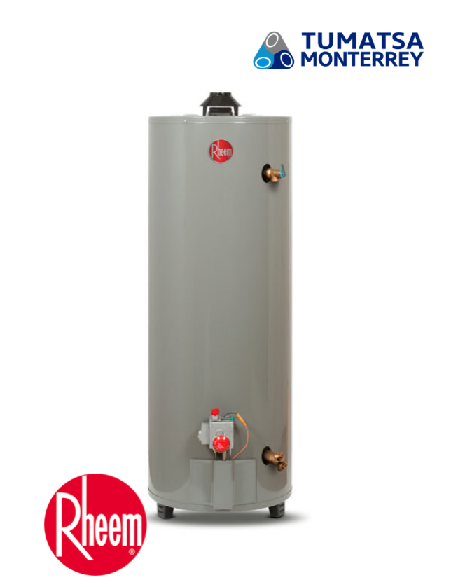 CALENTADOR AGUA 40GL GAS NAT MODELO: 29V40/435169
