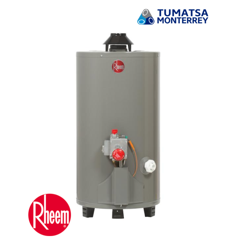 CALENTADOR DE AGUA A/R PARA GAS LP MODELO: 29V13HR/692210