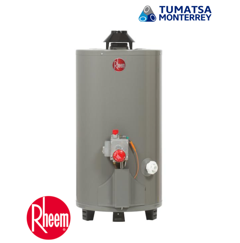 CALENTADOR DE AGUA A/R PARA GAS LP MODELO: 29V13HR/692210