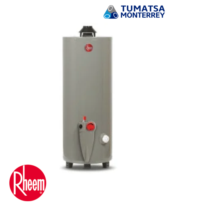 CALENTADOR AGUA 20GL PARA GAS LP RH MODELO: 29V20S/393391