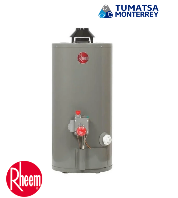 CALENTADOR AGUA 30GL PARA GAS LP RHEEM MODELO: 29V30/393469